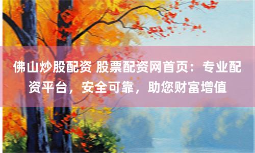 佛山炒股配资 股票配资网首页：专业配资平台，安全可靠，助您财富增值