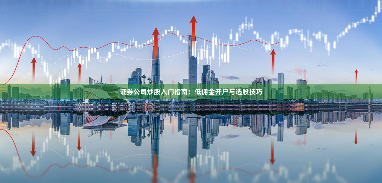 证券公司炒股入门指南：低佣金开户与选股技巧